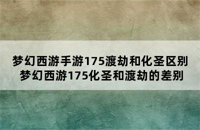 梦幻西游手游175渡劫和化圣区别 梦幻西游175化圣和渡劫的差别